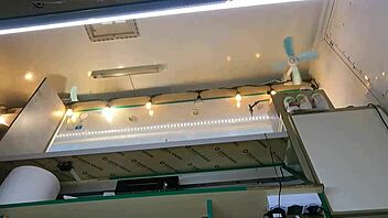 Boss Plays with Sexy Shop Assistant's Wet Pussy While She Talks to Customer