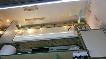 Boss Plays with Sexy Shop Assistant's Wet Pussy While She Talks to Customer