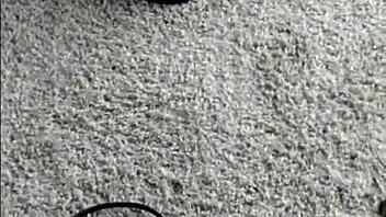 Teasing With Sexy Black Heels And Feet In Homemade Fetish Clip?