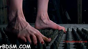 Gagged and Bounded Babe Needs Wild Cunt Pleasuring in Rough Bdsm Bondage