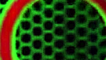 lesbian kissing freya parker - im lovin how her big tits n wet pussy feel wen we get into that sexy black blonde cunilingus action wit orgasmic muff divin n mature fuckin