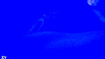 Hey, check out this wild blacklight fetish action!