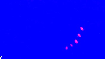 Hey, check out this wild blacklight fetish action!