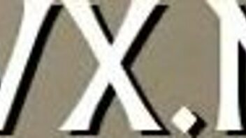 Charming Bitch Endures Wild Sex in Doggystyle Blowjob Pov Fucking Competition Contest