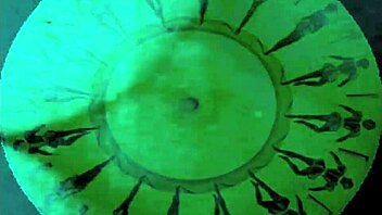 do you love this hairy vintage erotic art from retro times with antique style?