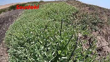 Why not fuck outdoors in public, with passionate doggystyle and creampie while risking it all in the field?