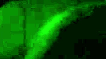 chatting about a brazilian amateur flashing in a car with pedestrians nearby