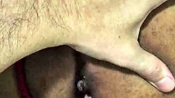 moray eels captivate with their intense and mesmerizing gaze