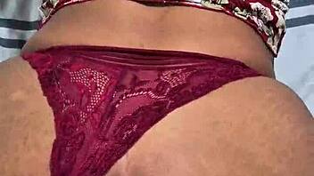 moray eels captivate with their intense and mesmerizing gaze