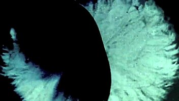 Discover Vintage Mother Nature!