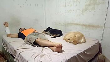 i'm a peruvian dancer still wanting to move so i decide to ride my cousin's cock giving bounces that left me dry