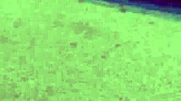 I love suckin dick in limo back