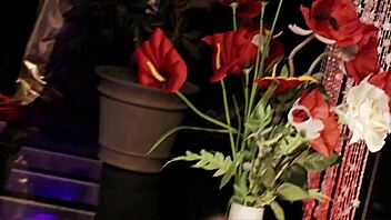 lou charmelle is showing stacey saran the ropes on getting double penetrated up the ass with toys 😈🍑