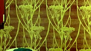 Why not try this BBW blowjob compilation with big tits sucking monster cock?