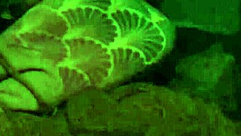 Fisherman Hooks Up With Canadian, Mexican, Brazilian, French, British, Italian, Czech, Dutch, Colombian, Spanish, And German Babes In Public