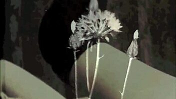 Vintage erotic illustration showcases retro antique style in a classic artistic display