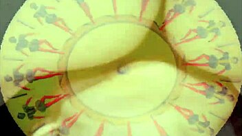 Vintage erotic illustration showcases retro antique style in a classic artistic display