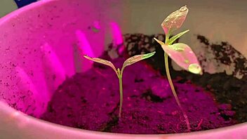 Oh Wow! Watch This Beautiful Sexy Girl Fingering Her Tight Pussy Until She Reaches Intense Orgasm!