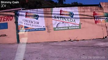 Why risk a public blowjob on the front lawn in broad daylight?