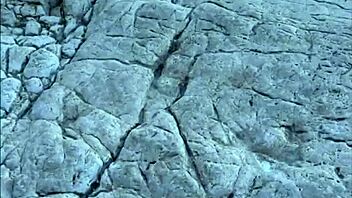 Risky Beach Blowjob From Sloppy Teen Model In Pov