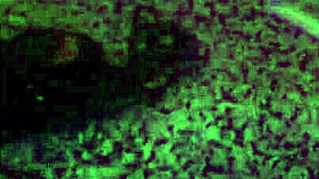 Hey, why does this bitch love renting a hotel to fuck all night in lingerie like a total whore?