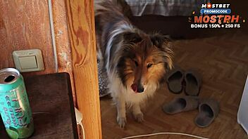 Confused Identity Leads To Intense Ass Creampie With Tight Partner