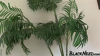 9 Inch BBC Is Fucking a Fat Ebony with Deepthroat Anal Licking and Rough Interracial Pounding!