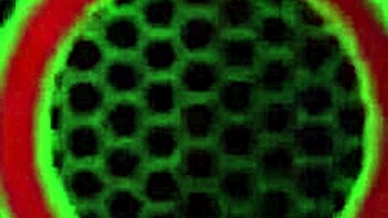 Brunette Pawg Nadia White Drilled Hard in Ass