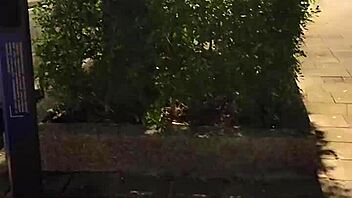 Shemale Ting Xuan outdoors peeing and masturbating in park after removing underwear