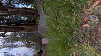 Convincing Best Friend For Outdoor Porn Video In Forest