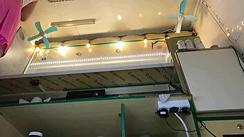 Super cute girl gets caught on hidden camera with upskirt view at work