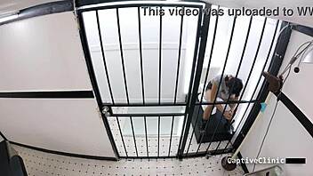 Will Handcuffs and Humiliation Make These Tanned Pigtail Bitches Scream in Bdsm Gaping Pussy Spreading Behind the Scenes?