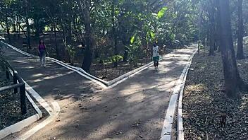 This curvy Brazilian housewife gets her big ass fucked hard by monster cock in amateur session