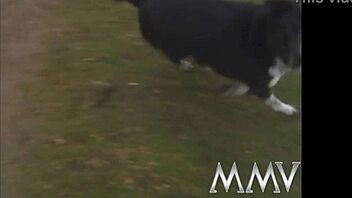 Erotic redhead and blonde harlots sucking huge monster cocks in retro hardcore blowjob action!