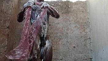 partners discover ultimate pleasure by sharing a steamy shower together before intimacy