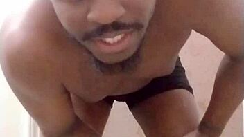 returning to create a mess in another room inspired by scorpio wolf traits like my pet dog