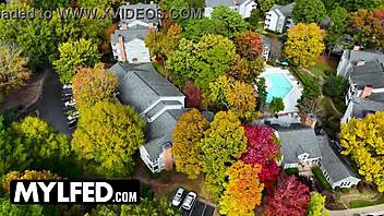 Unconventional wellness session by mylfed with misty meaner laya rae and nicole rae