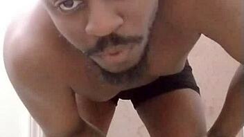 returning to create a mess in another room inspired by scorpio wolf traits like my pet dog