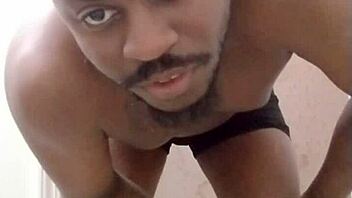 returning to create a mess in another room inspired by scorpio wolf traits like my pet dog