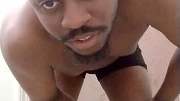 returning to create a mess in another room inspired by scorpio wolf traits like my pet dog