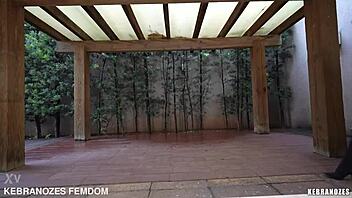 Brazilian femdom humiliates slave with ball kicking domination