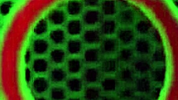 i tongue fuck pawg skylar snow's phat ass with rome major's lucky moves