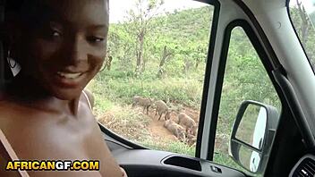 gorgeous ebony girlfriend gets wild with deepthroat blowjob on safari date with american boyfriend
