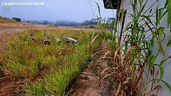 We pulled over at an abandoned building on the road where she eagerly sucked my cock in public excitement.