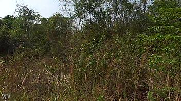 My First Raw Thailand Fuck Experience!