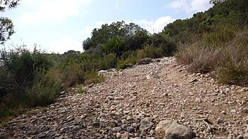 aixmen la cubana fucks wildly in forest car with monster cock