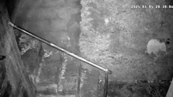 hidden cam catches busty brazilian milf hardcore pounding