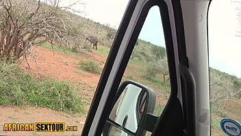 safari black teen craves massive white cock horny rip