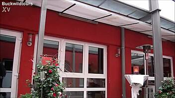 Domenica's Lounge Hamburg Germany Tourist Spot