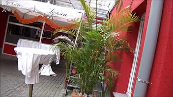 Domenica's Lounge Hamburg Germany Tourist Spot